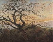 Tree with crows Caspar David Friedrich